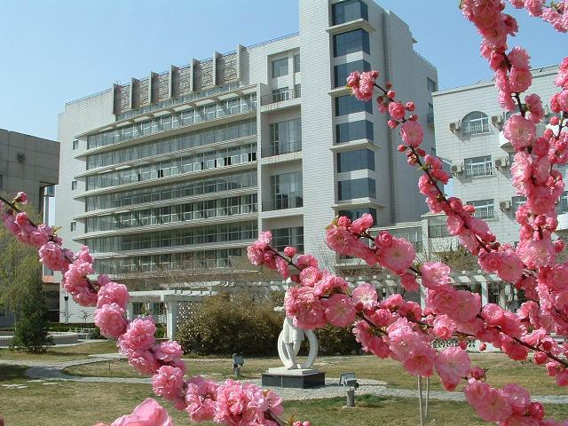 爆操体育生视频
